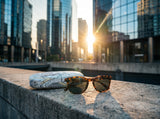Hard Shell Glasses Case — Scratch & Crush Proof
